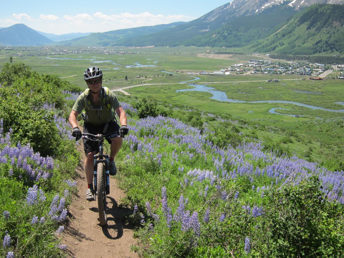 Purple Mountain Bed & Breakfast & Spa Crested Butte Eksteriør bilde