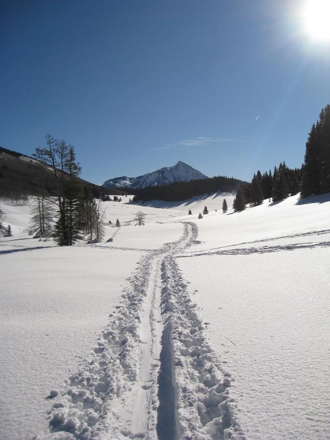 Purple Mountain Bed & Breakfast & Spa Crested Butte Eksteriør bilde