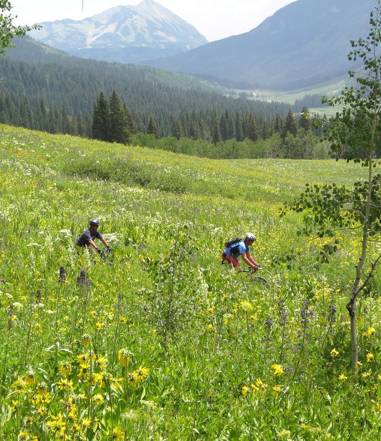 Purple Mountain Bed & Breakfast & Spa Crested Butte Eksteriør bilde